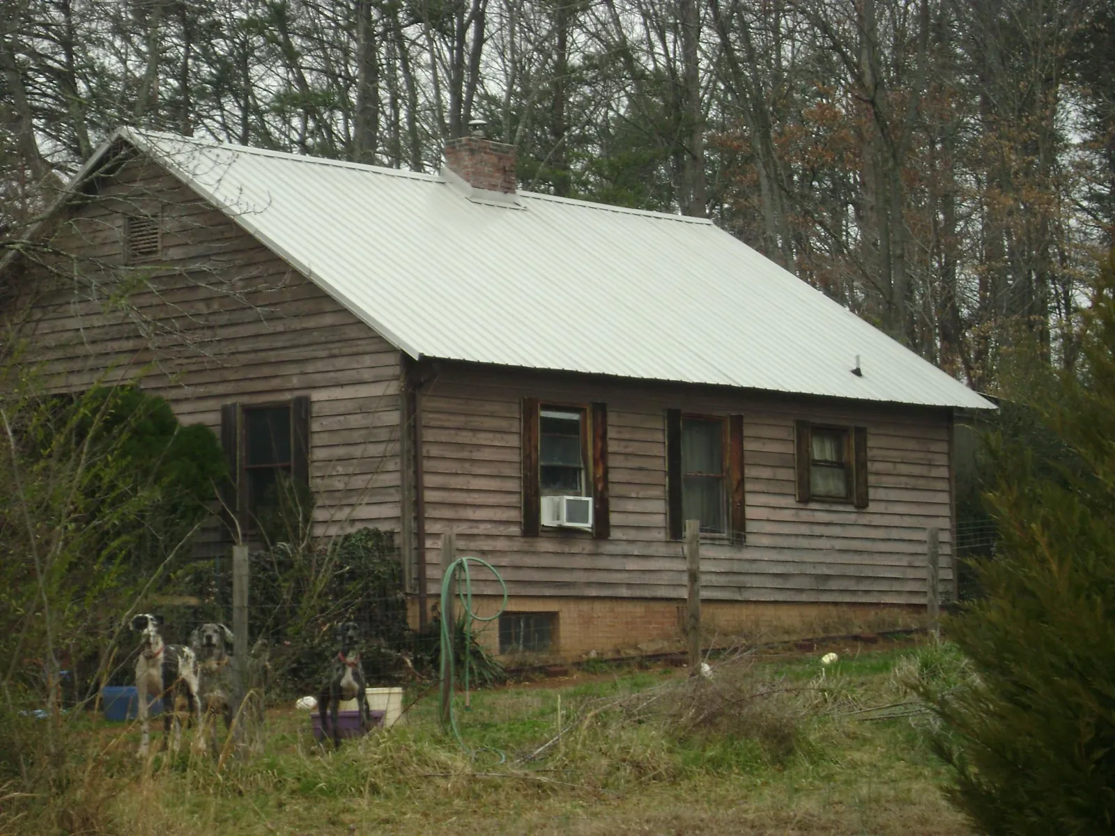 White metal roof on an old wood sided farmhouse, from a Metal Roof Installation job in West Mansfield